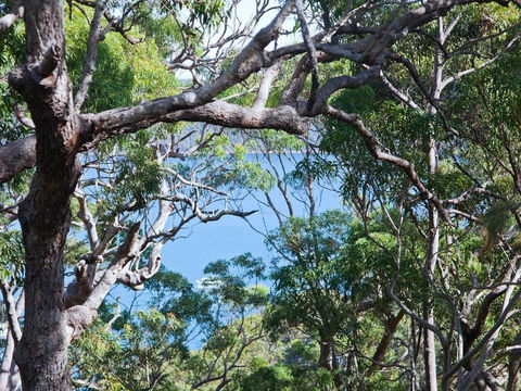 Bynya - 100m To Jonahs! - Accommodation Gladstone 1