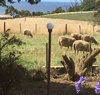 Cape View B and B - Accommodation Gladstone