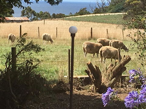 Cape View B And B - Accommodation Gladstone 0