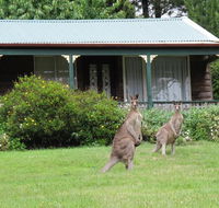 Cedar Lodge Cabins - Accommodation Gladstone