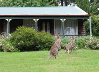 Book Mount Victoria Accommodation Vacations Accommodation Gladstone Accommodation Gladstone