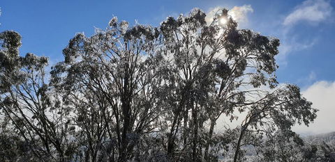 Cedarwood Apartments - Accommodation Gladstone 1