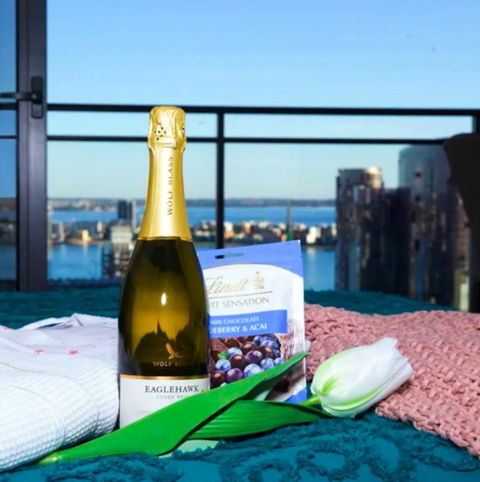 CENTRAL CBD EXEC STUNNING VIEW WIFI NETFLIX WINE - Accommodation Gladstone 3