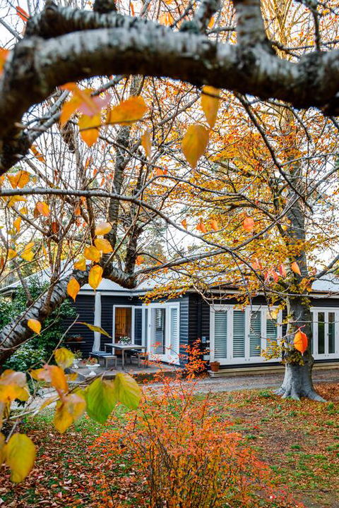 Charming Mountain Cottage - Accommodation Gladstone 3