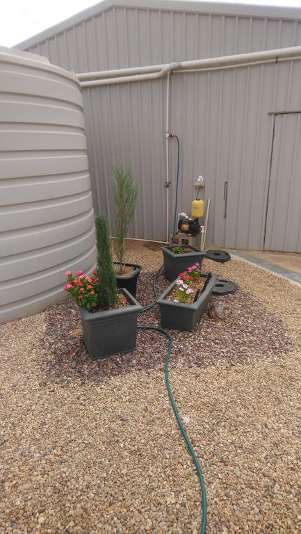 Chrissie's Dongara - Accommodation Gladstone 2