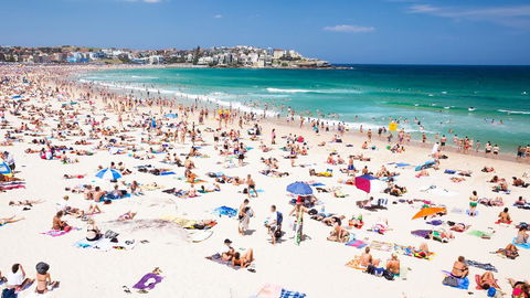 CLIFFSIDE: BONDI BEACH - Accommodation Gladstone 0