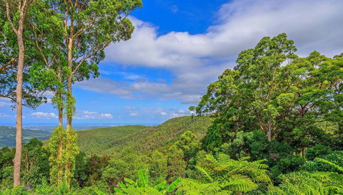 CLOUD 9 - Cliff Top Eagle Heights - Accommodation Gladstone 3