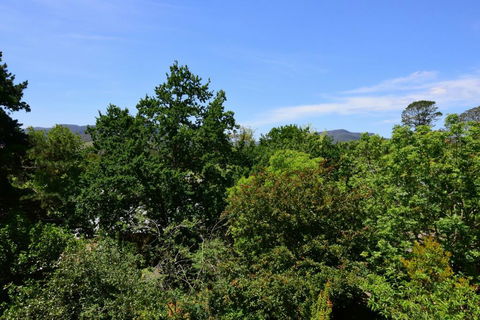 Cloudsong Chalet 3 - Close To The Village Centre! - Accommodation Gladstone 2