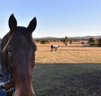 Clydesdale Cottage on Talga with real Clydesdale Horses - Accommodation Gladstone