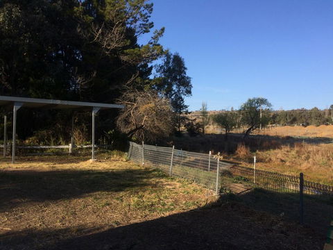 Cockatoo Corner - Armidale - Accommodation Gladstone 1