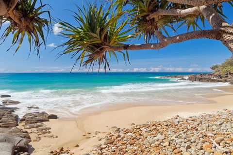 Coolum Classic Beach Shack - Pet Friendly - Accommodation Gladstone 0