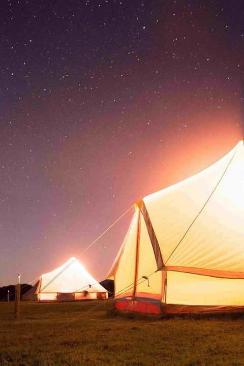 Coonawarra Bush Holiday Park - Accommodation Gladstone 3