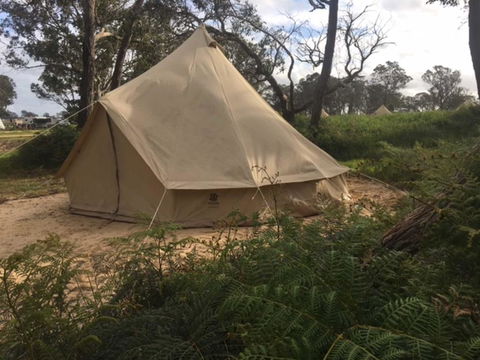 Coonawarra Bush Holiday Park - Accommodation Gladstone 2