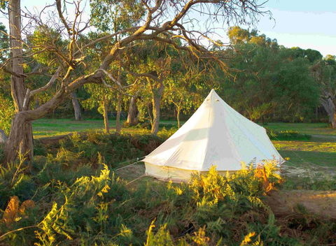 Coonawarra Bush Holiday Park - Accommodation Gladstone 0