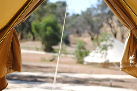 Cosy Tents - Daylesford - Accommodation Gladstone 1