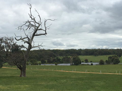 Country Farm House Close To Ballarat - Accommodation Gladstone 1