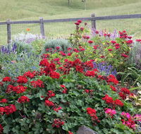 Country Mile Escape - Accommodation Gladstone