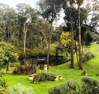 Countryside Retreat Intimate Studio Hepburn - Daylesford - Accommodation Gladstone
