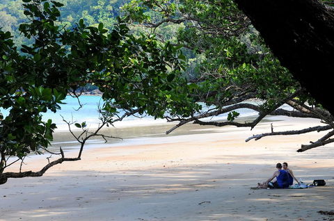 Cow Bay Homestay B&B - Accommodation Gladstone 1