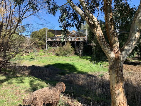 Cullen House - Accommodation Gladstone 1