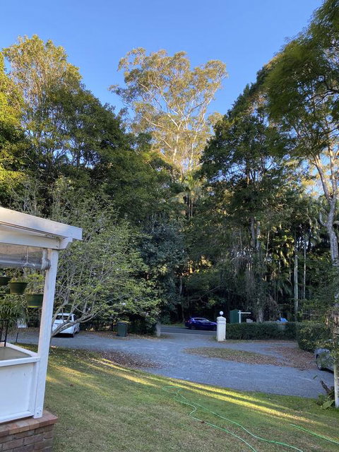 Curtis Falls Studio-Apartment - Accommodation Gladstone 3