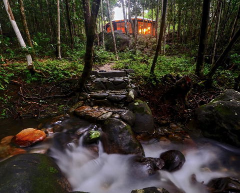 Daintree Cascades - Accommodation Gladstone 0
