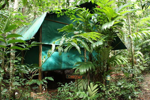 Daintree Crocodylus - Accommodation Gladstone 0