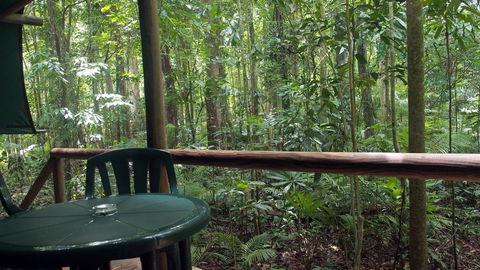 Daintree Crocodylus - Accommodation Gladstone 2