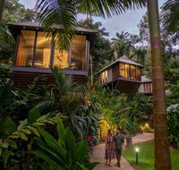 Daintree Ecolodge - Accommodation Gladstone