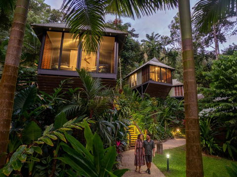 Daintree Ecolodge - Accommodation Gladstone 0