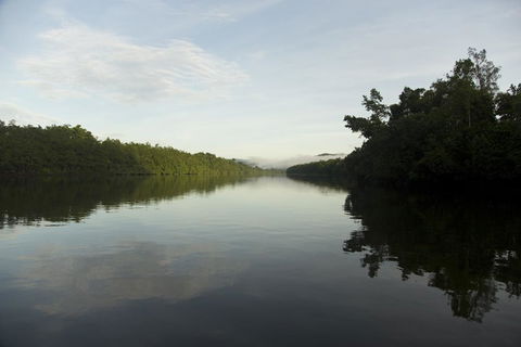 Daintree Village Hideaway - Accommodation Gladstone 2