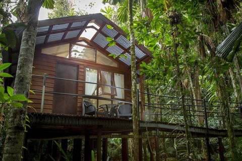 Daintree Wilderness Lodge - Accommodation Gladstone 2