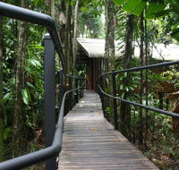 Daintree Wilderness Lodge - Accommodation Gladstone