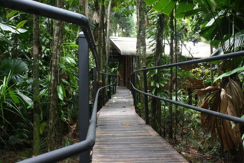 Daintree Wilderness Lodge - Accommodation Gladstone 0