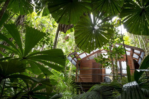 Daintree Wilderness Lodge - Accommodation Gladstone 1