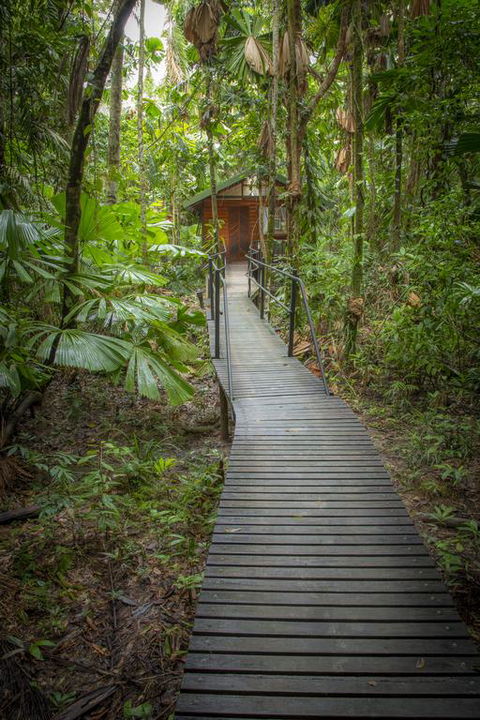 Daintree Wilderness Lodge - Accommodation Gladstone 3