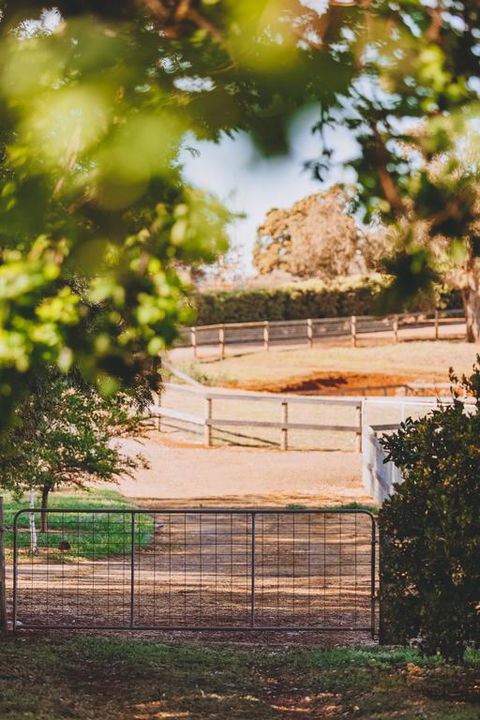 Dalblair Bed & Breakfast - Accommodation Gladstone 3