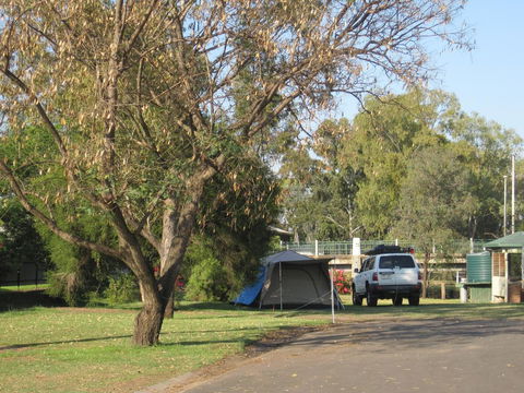 Dalby Tourist Park - Accommodation Gladstone 3