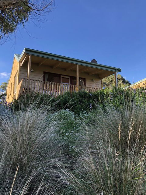 Daysy Hill Country Cottages - Accommodation Gladstone 3