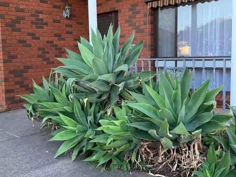 Delightful Bedroom In Bentleigh East - Accommodation Gladstone 2