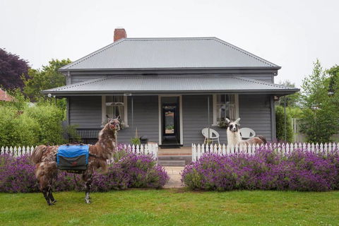 Domino House - Accommodation Gladstone 0