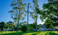 Book Dorrigo Accommodation Vacations Accommodation Gladstone Accommodation Gladstone