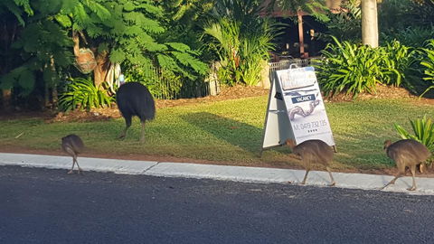 Driftwood Bed And Breakfast - Accommodation Gladstone 1