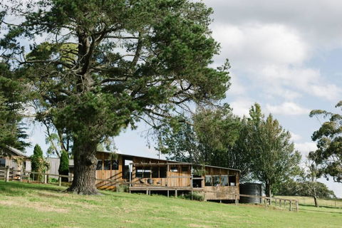 Drovers Rest At Springfield - Accommodation Gladstone 2