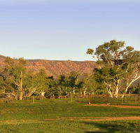Edeowie Station - Accommodation Gladstone
