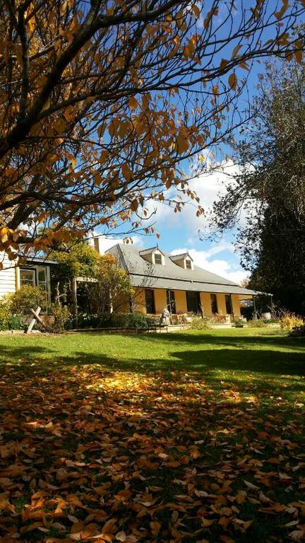 Eling Forest Winery - Accommodation Gladstone 3