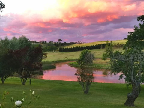 Eling Forest Winery - Accommodation Gladstone 0