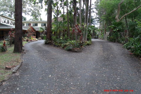 Emerald Tropical Palms B & B - Accommodation Gladstone 3