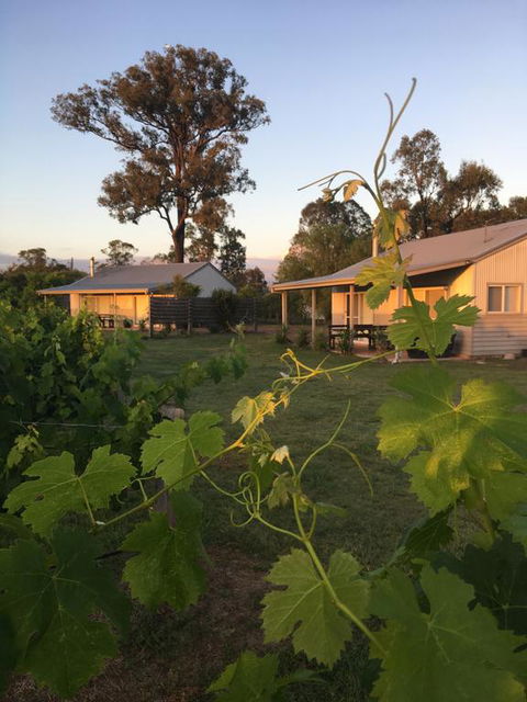 Emma's Cottage Vineyard - Accommodation Gladstone 3