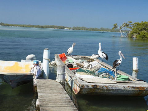 Fairholme 8, Perfect Lakefront Position - Accommodation Gladstone 2